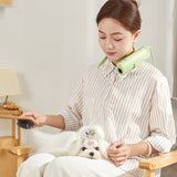 Pet hair dryer for pet care: high power, quiet, energy-saving, dog grooming, fast drying. Only suitable for 220V countries.